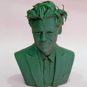 Busto Harry Style